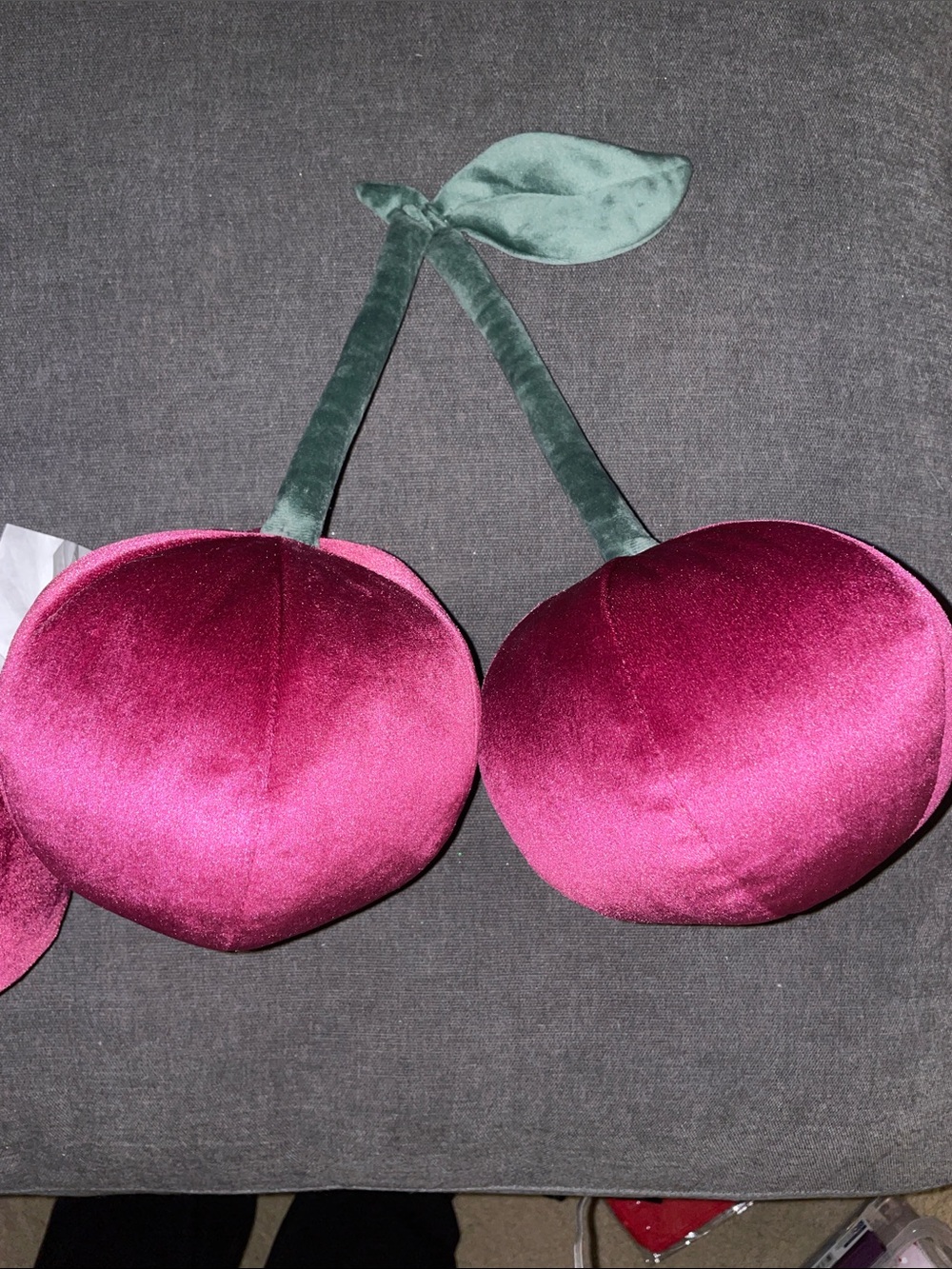 Room Essential cherry toss pillows set of two